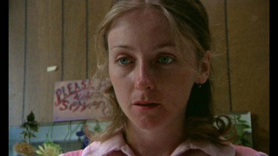 Screen capture from ¡Alambrista!