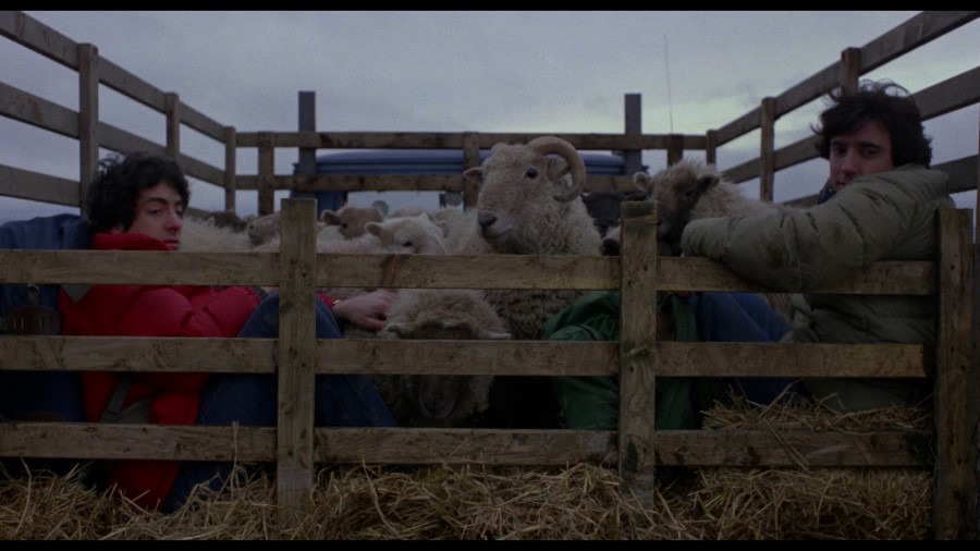 Screen capture from An American Werewolf in London