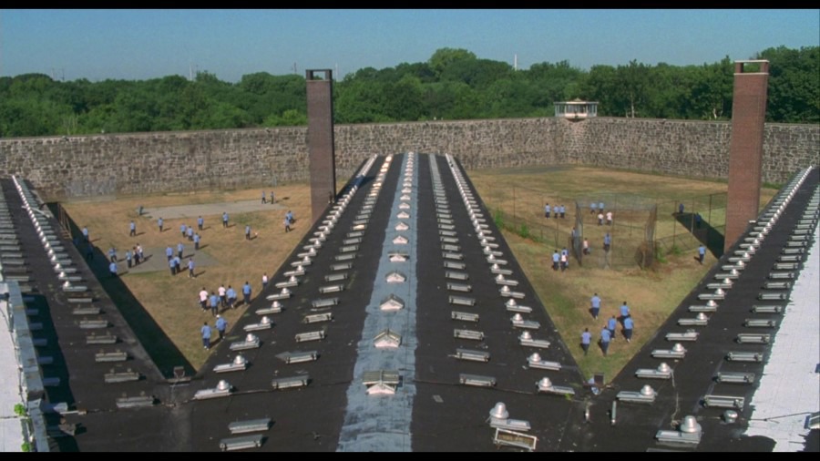 Screen capture from Animal Factory