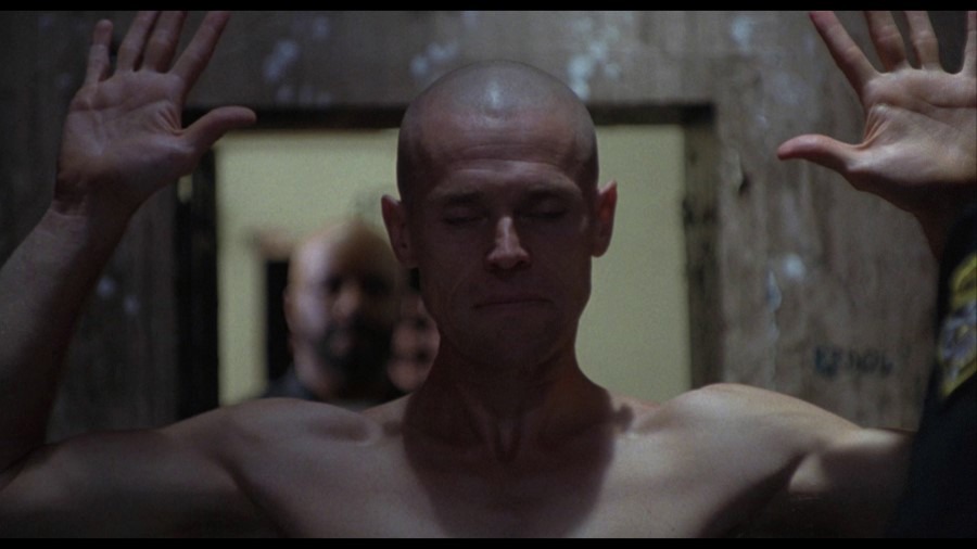 Screen capture from Animal Factory