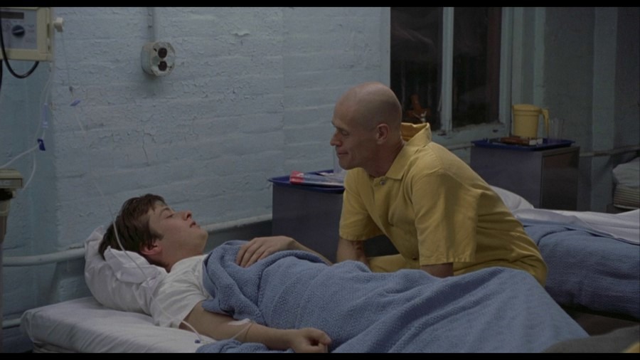 Screen capture from Animal Factory