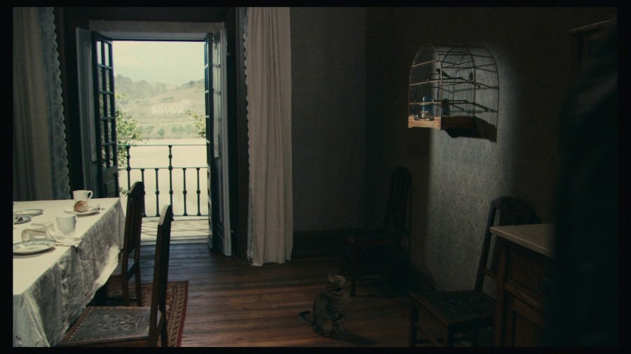 Screen capture from The Strange Case of Angelica