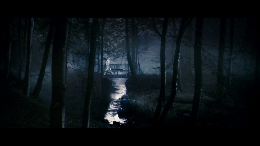 Screen capture from Antichrist