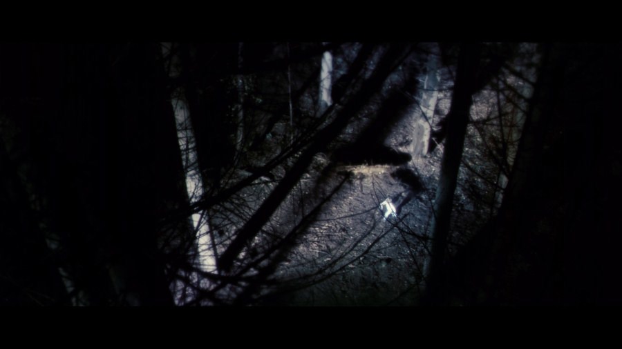 Screen capture from Antichrist