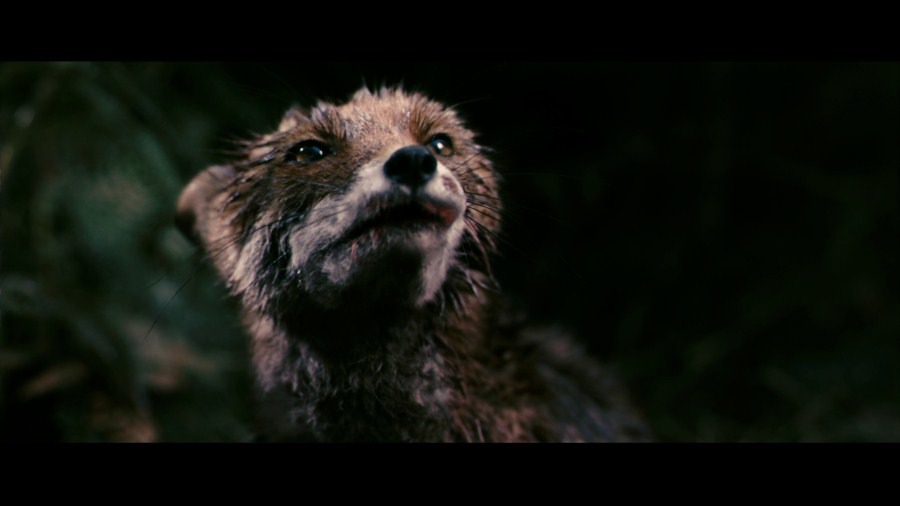 Screen capture from Antichrist