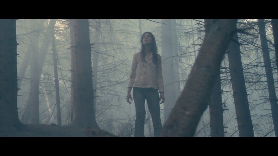 Screen capture from Antichrist
