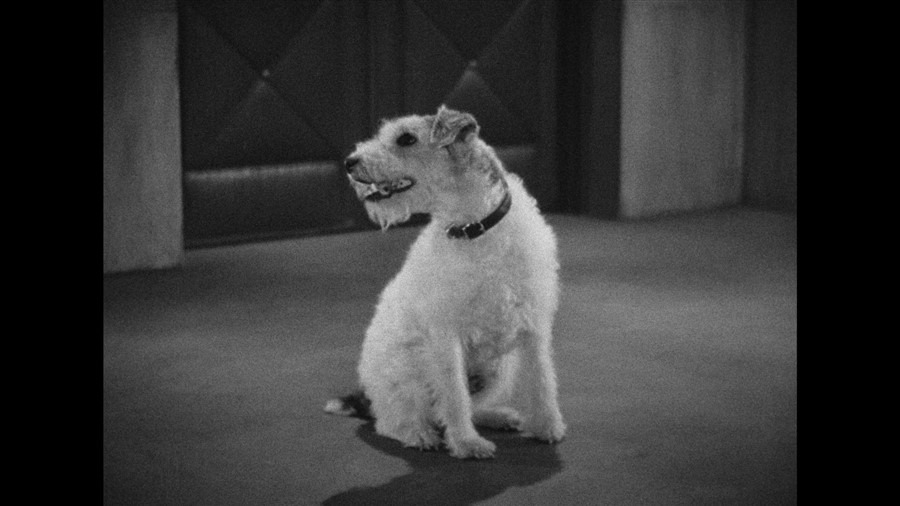 Screen capture from The Awful Truth