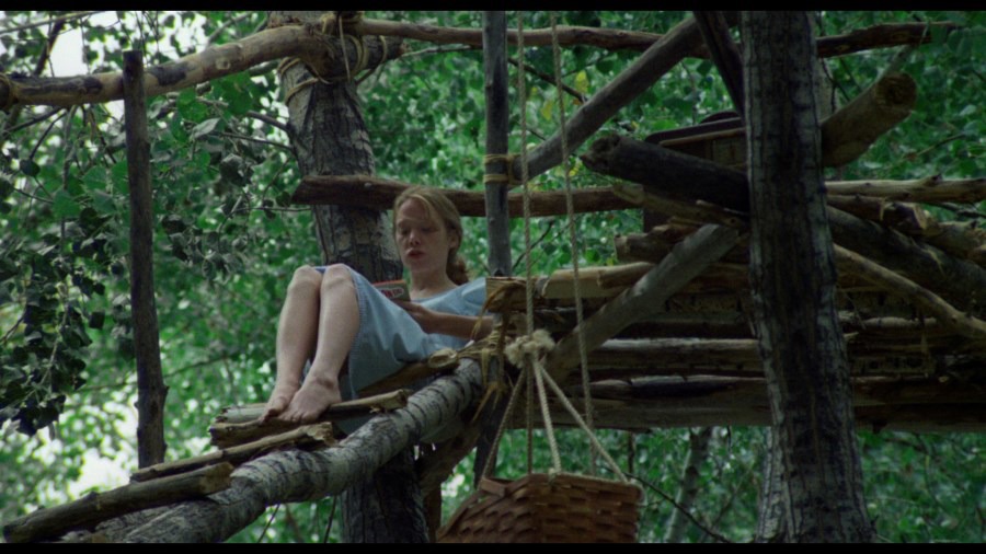 Screen capture from Badlands