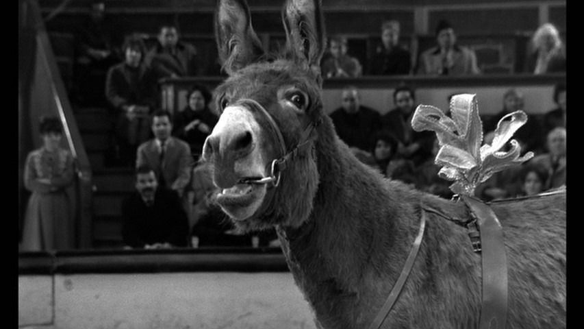 Screen capture from Au hasard Balthazar