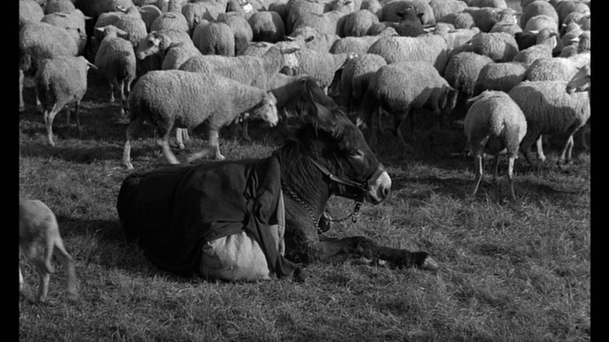Screen capture from Au hasard Balthazar