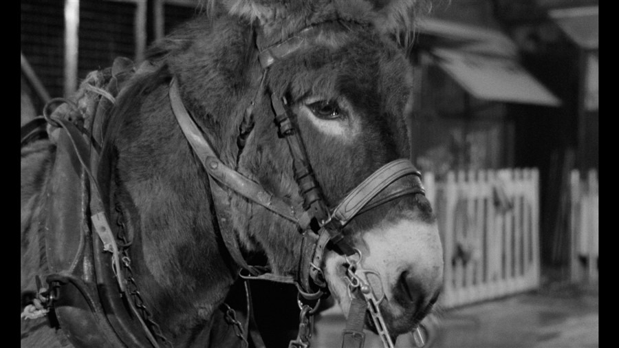 Screen capture from Au hasard Balthazar