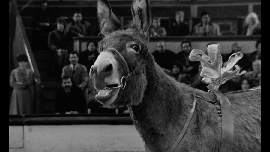 Screen capture from Au hasard Balthazar
