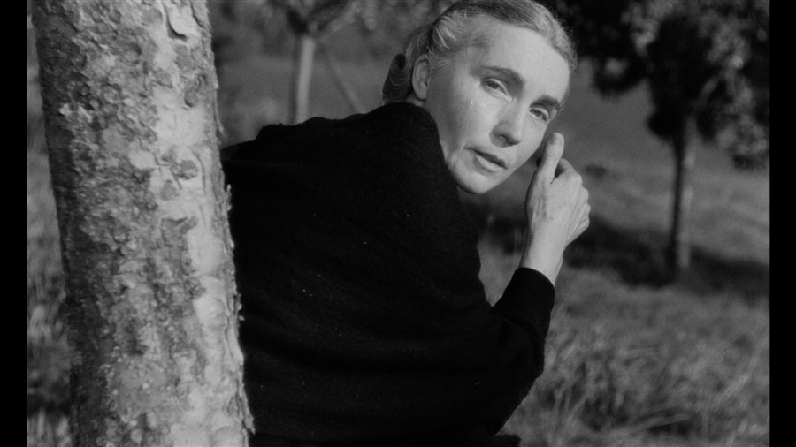 Screen capture from Au hasard Balthazar