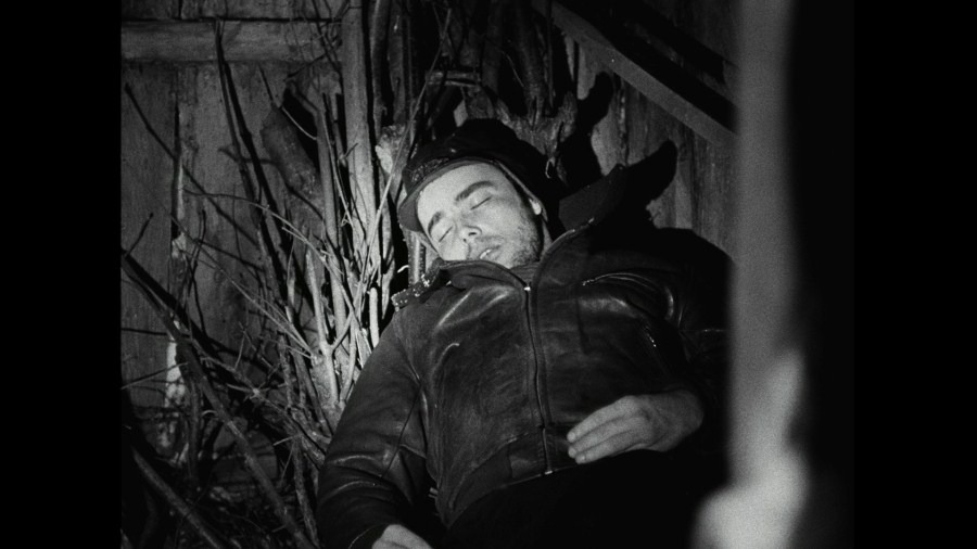 Screen capture from Le beau Serge