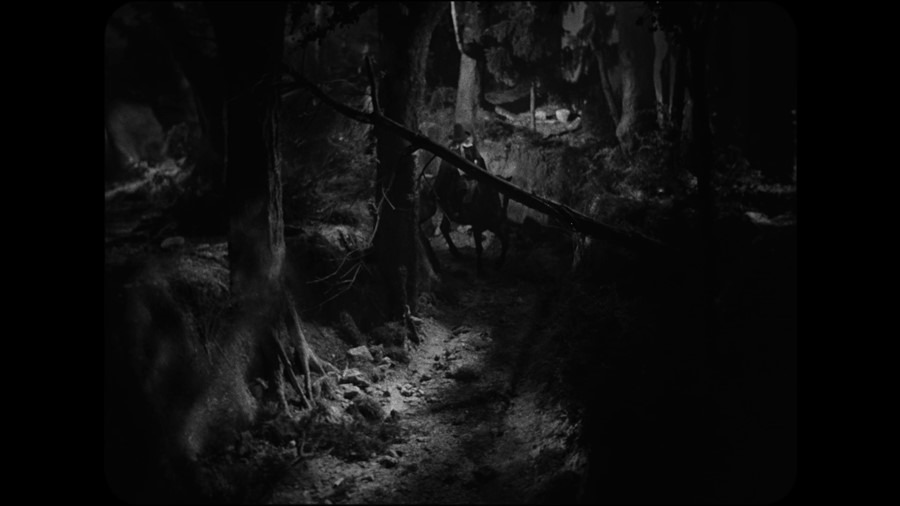 Screen capture from La Belle et la bête