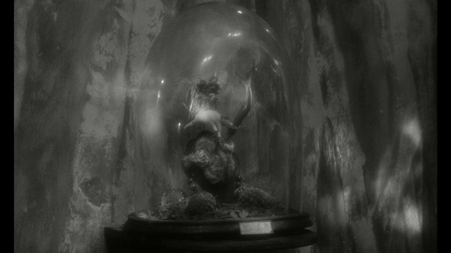 Screen capture from Institute Benjamenta