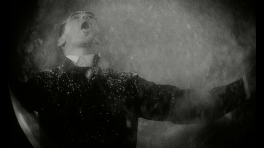 Screen capture from Institute Benjamenta