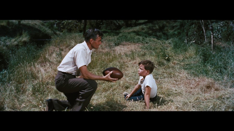 Screen capture from Bigger Than Life