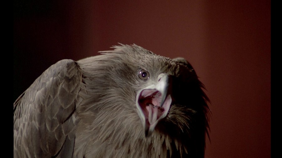 Screen capture from Black Moon