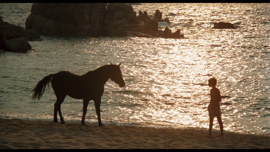 Screen capture from The Black Stallion