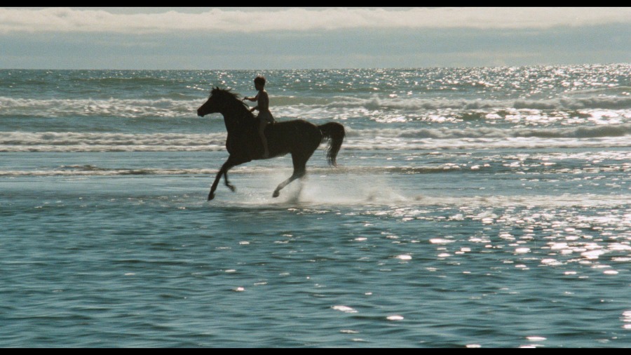 Screen capture from The Black Stallion