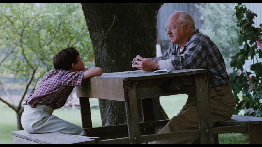 Screen capture from The Black Stallion