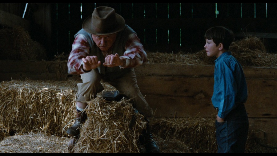 Screen capture from The Black Stallion