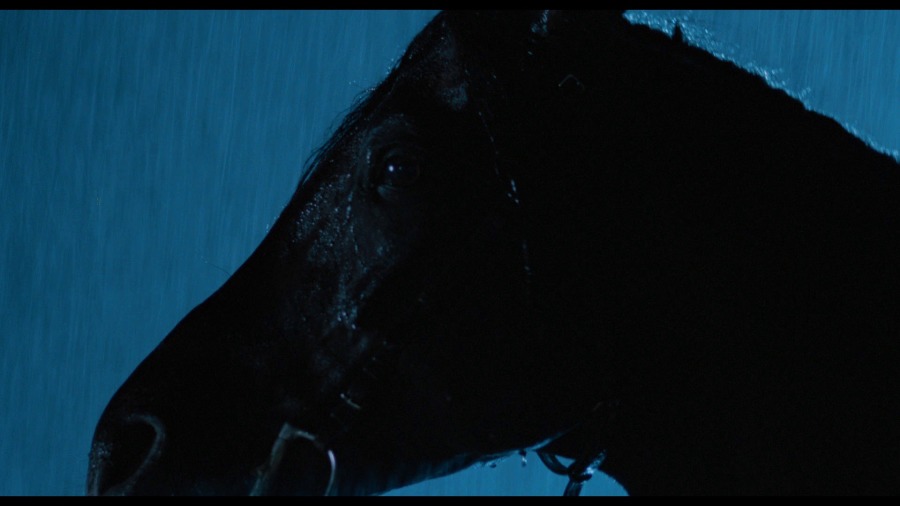 Screen capture from The Black Stallion