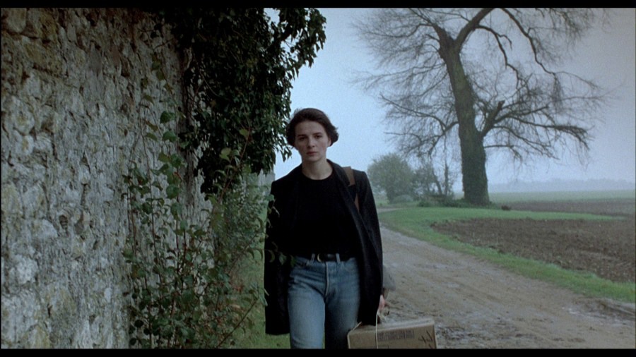 Screen capture from Three Colors