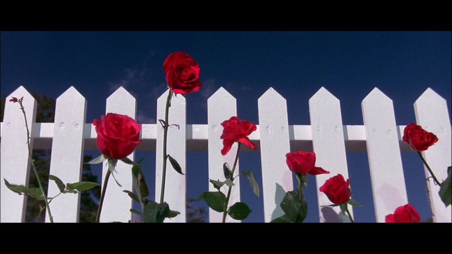 Screen capture from Blue Velvet