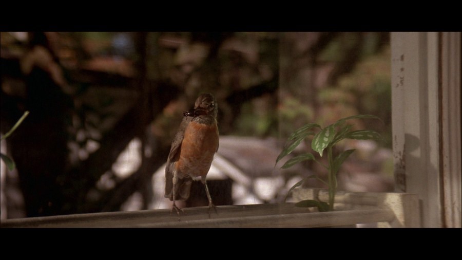 Screen capture from Blue Velvet