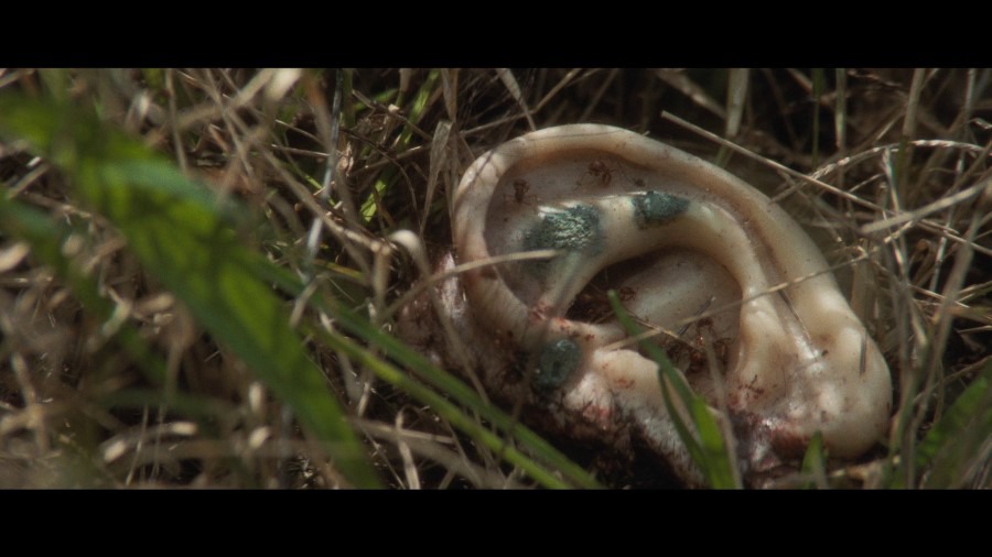Screen capture from Blue Velvet
