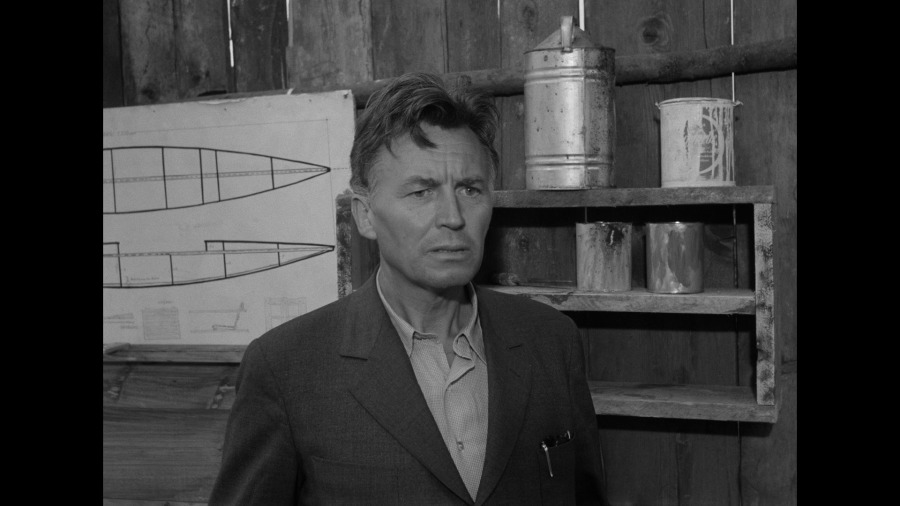 Screen capture from The Bridge
