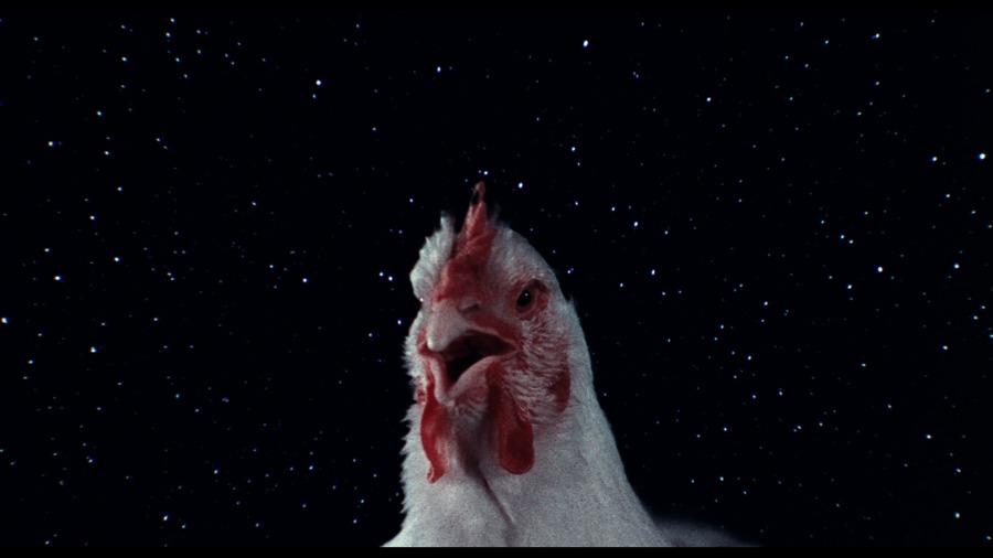 Screen capture from A Brief History of Time