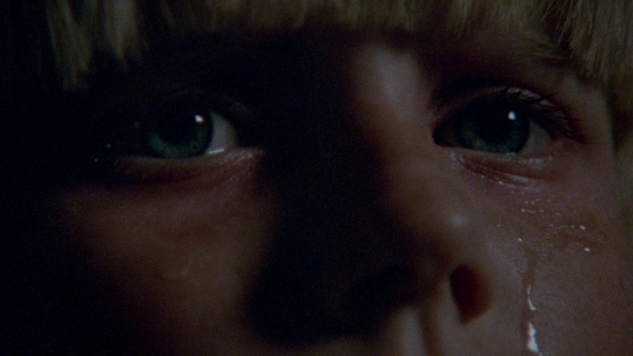 Screen capture from The Brood