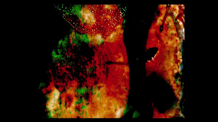Screen capture from By Brakhage: An Anthology, Volumes One and Two