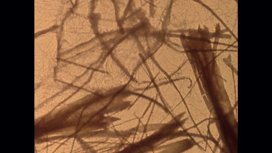 Screen capture from By Brakhage: An Anthology, Volumes One and Two