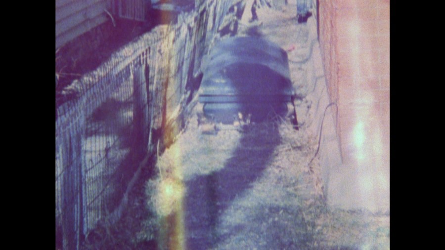 Screen capture from By Brakhage: An Anthology, Volumes One and Two