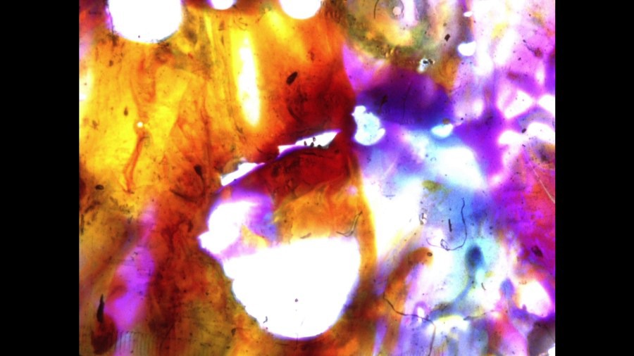 Screen capture from By Brakhage: An Anthology, Volumes One and Two