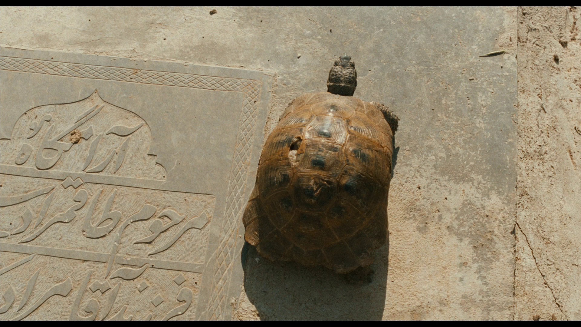 Screen capture from The Wind Will Carry Us