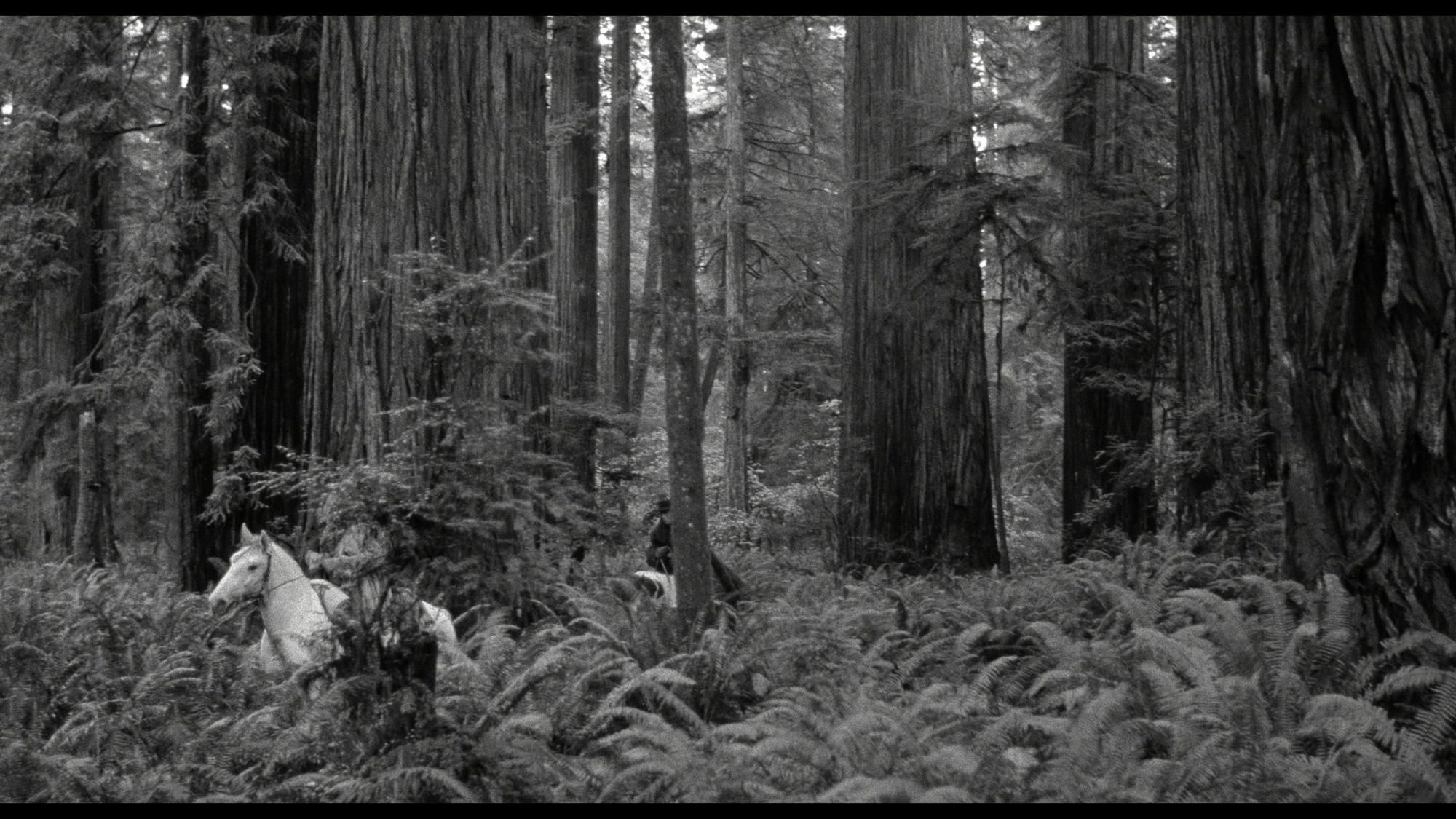Screen capture from Dead Man