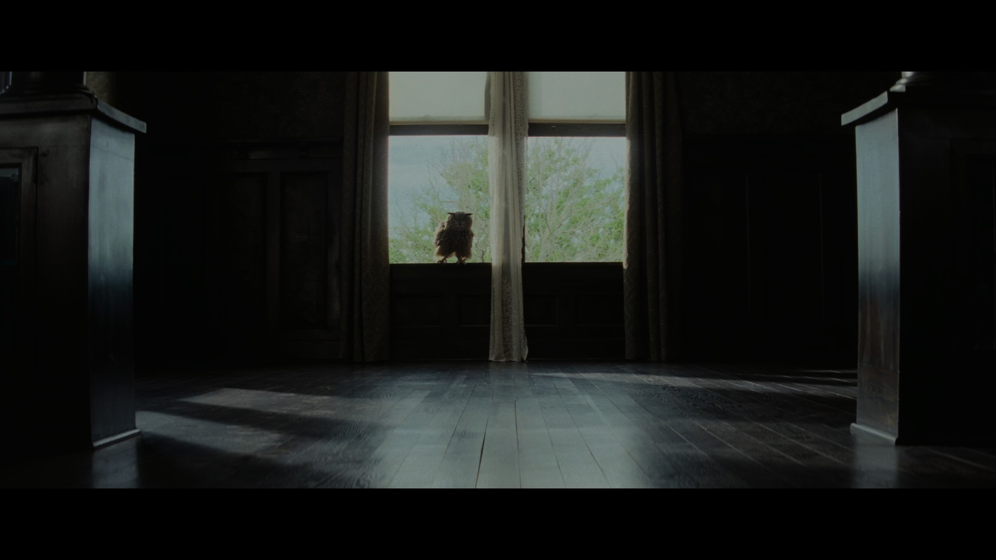 Screen capture from Killers of the Flower Moon
