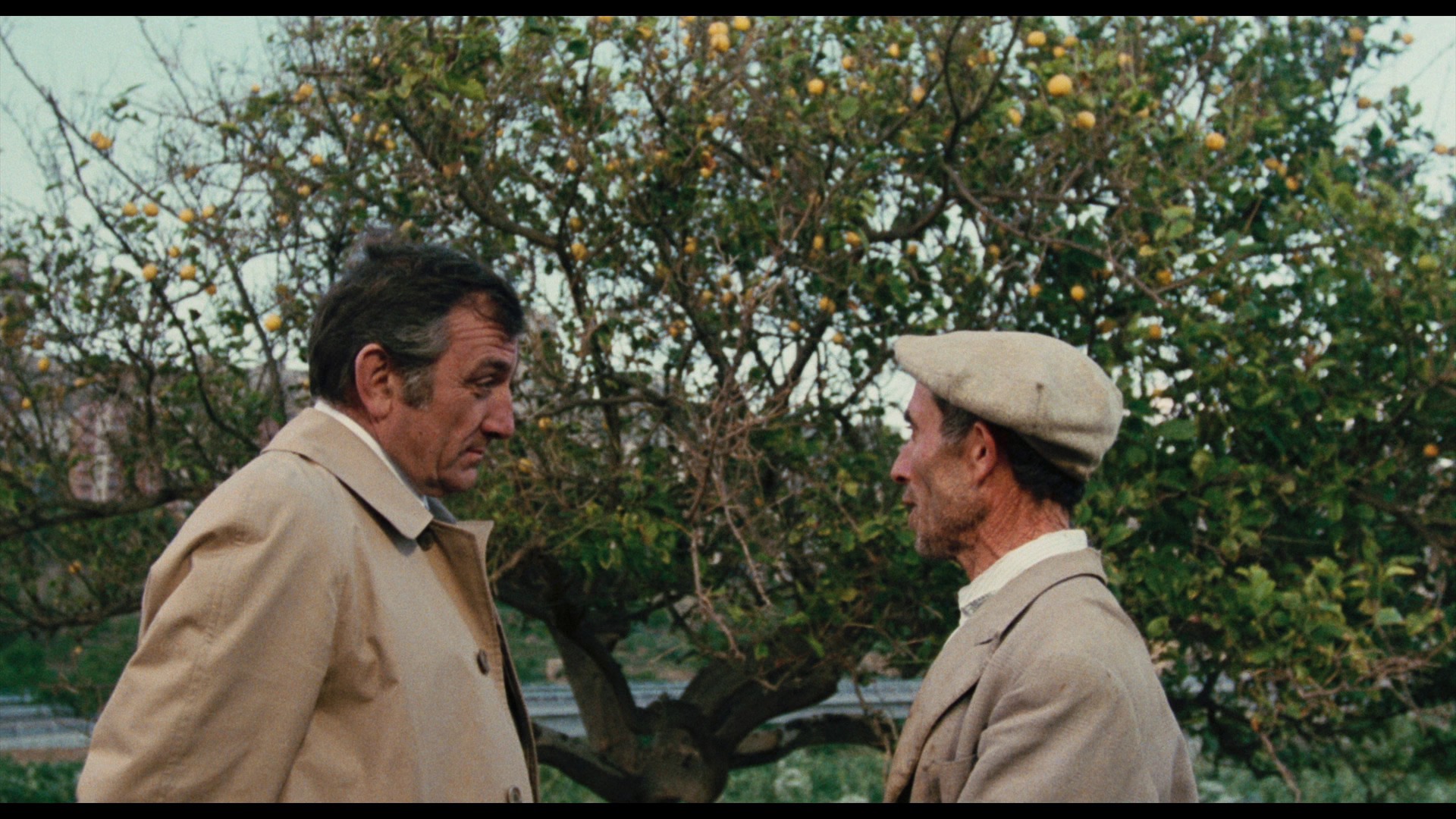 Screen capture from Illustrious Corpses