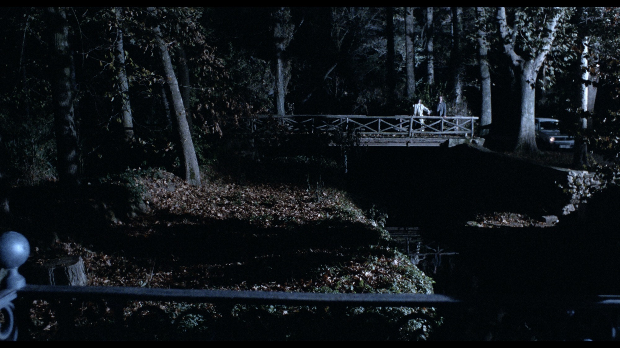 Screen capture from Matador