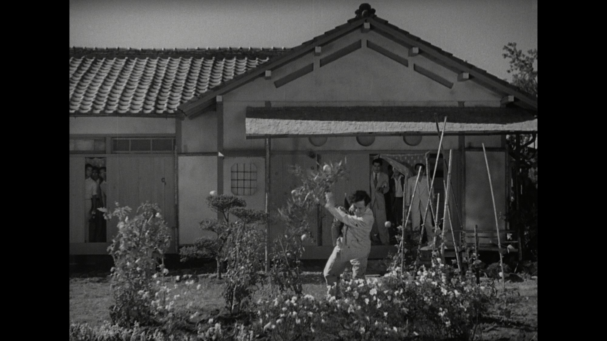 Screen capture from Stray Dog