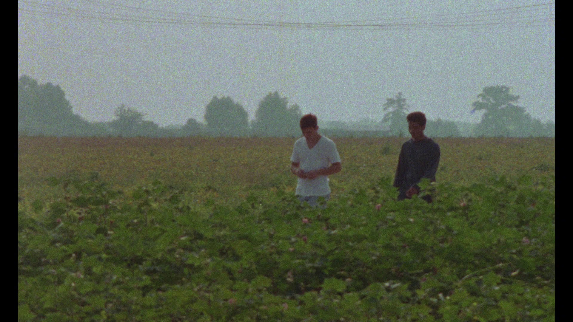 Screen capture from The Delta