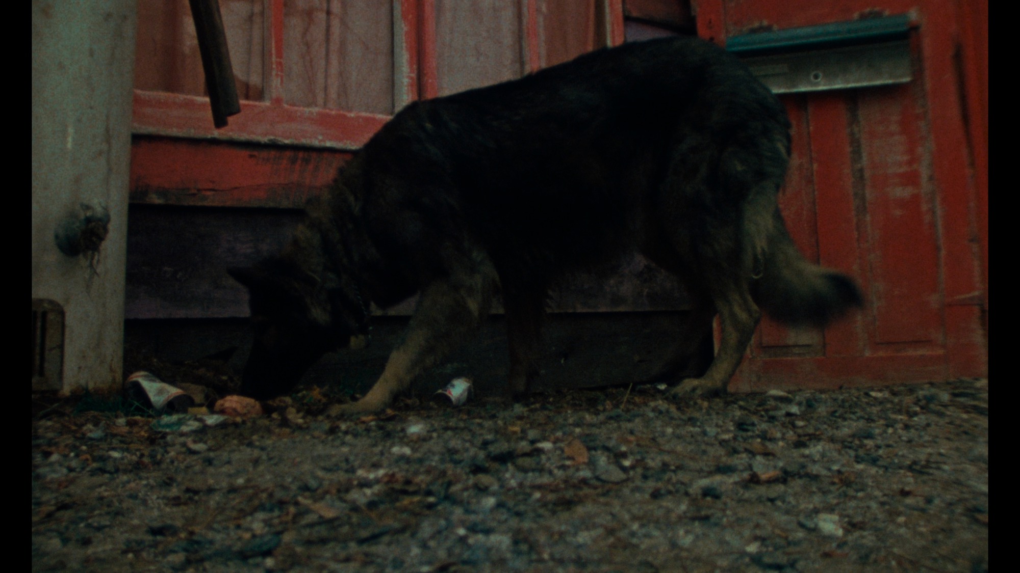 Screen capture from Desperate Living
