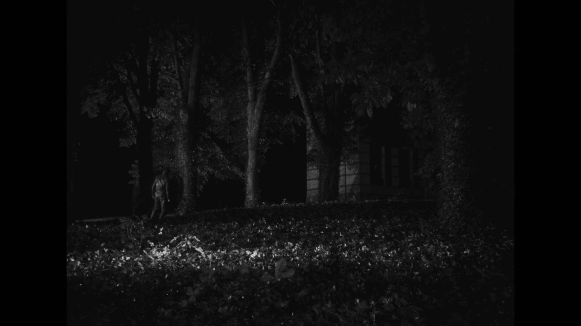 Screen capture from La tête contre les murs