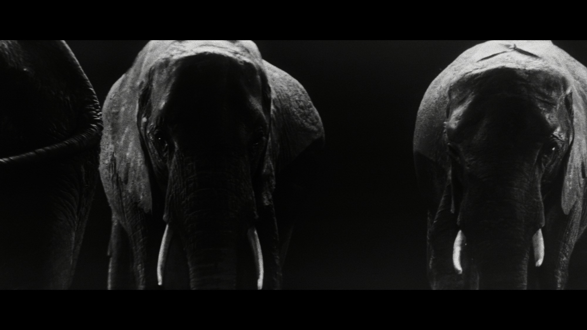 Screen capture from The Elephant Man