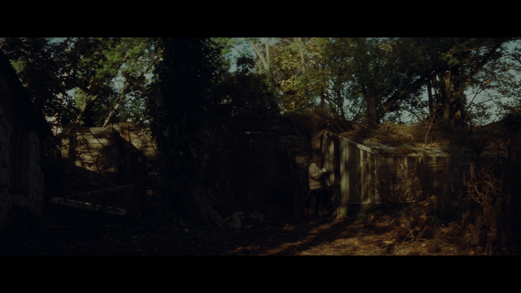 Screen capture from The Crying Game